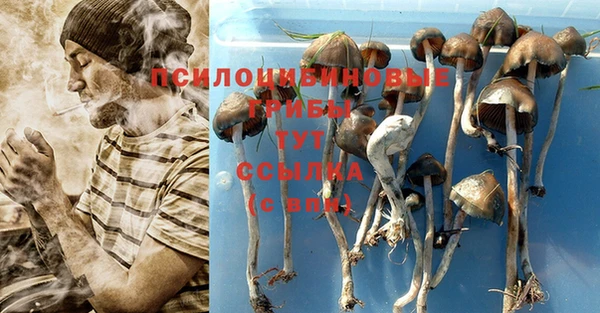 МДПВ Магас