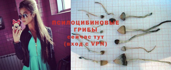 МДПВ Магас