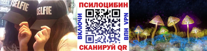 цены   Судак  Галлюциногенные грибы ЛСД 